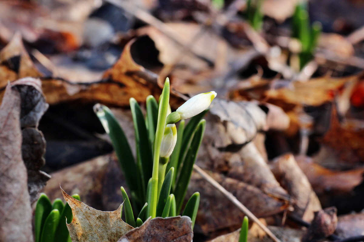 2015_02_19_00016102_Bildgr��e �ndern