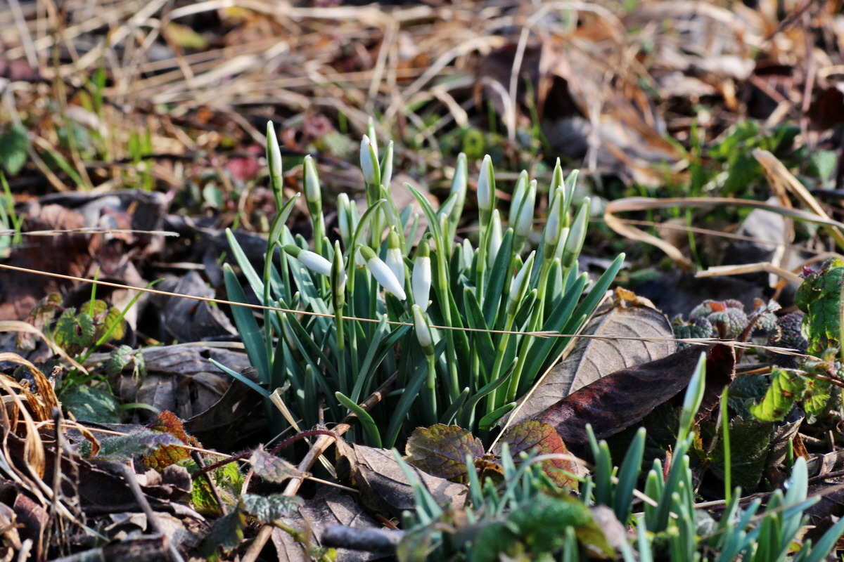 2015_02_19_00016105_Bildgr��e �ndern