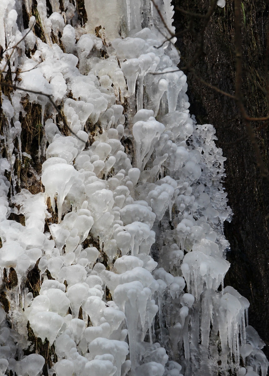 2015_02_07_00015979_Bildgr��e �ndern