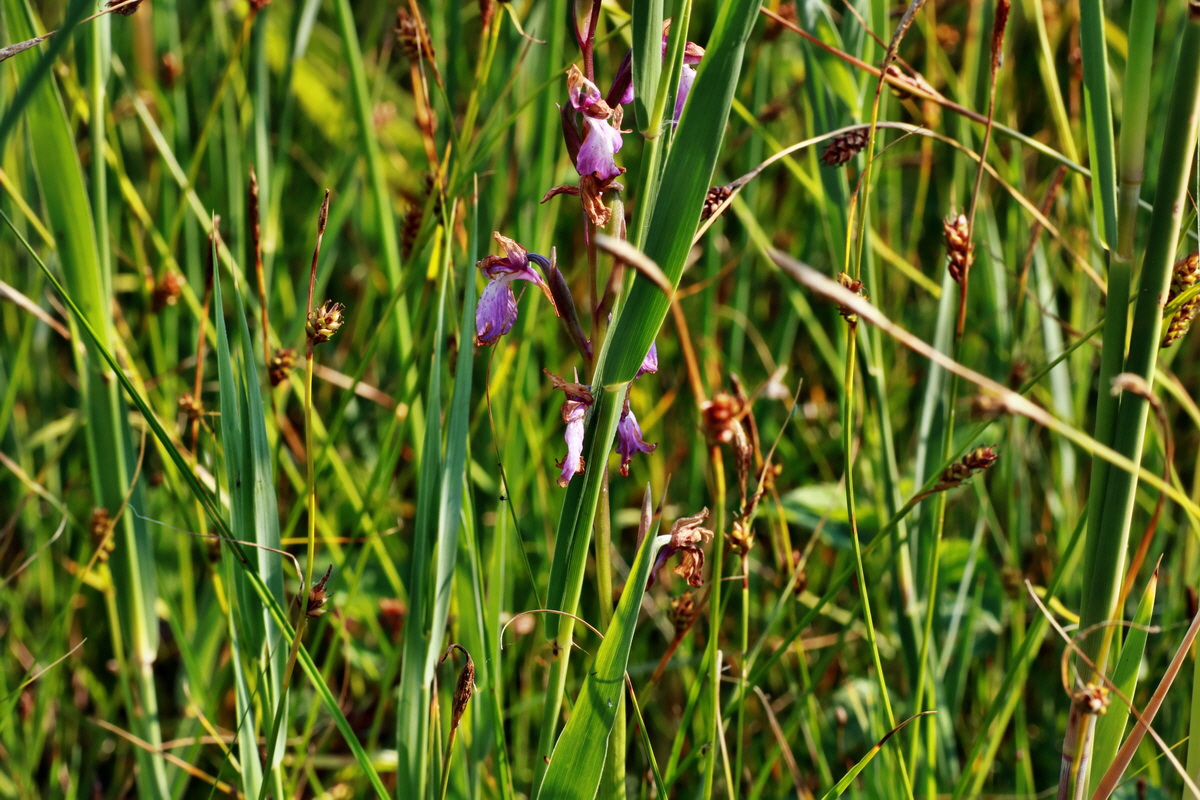 IMG-2015-07-03-00006236p_Bildgr��e �ndern