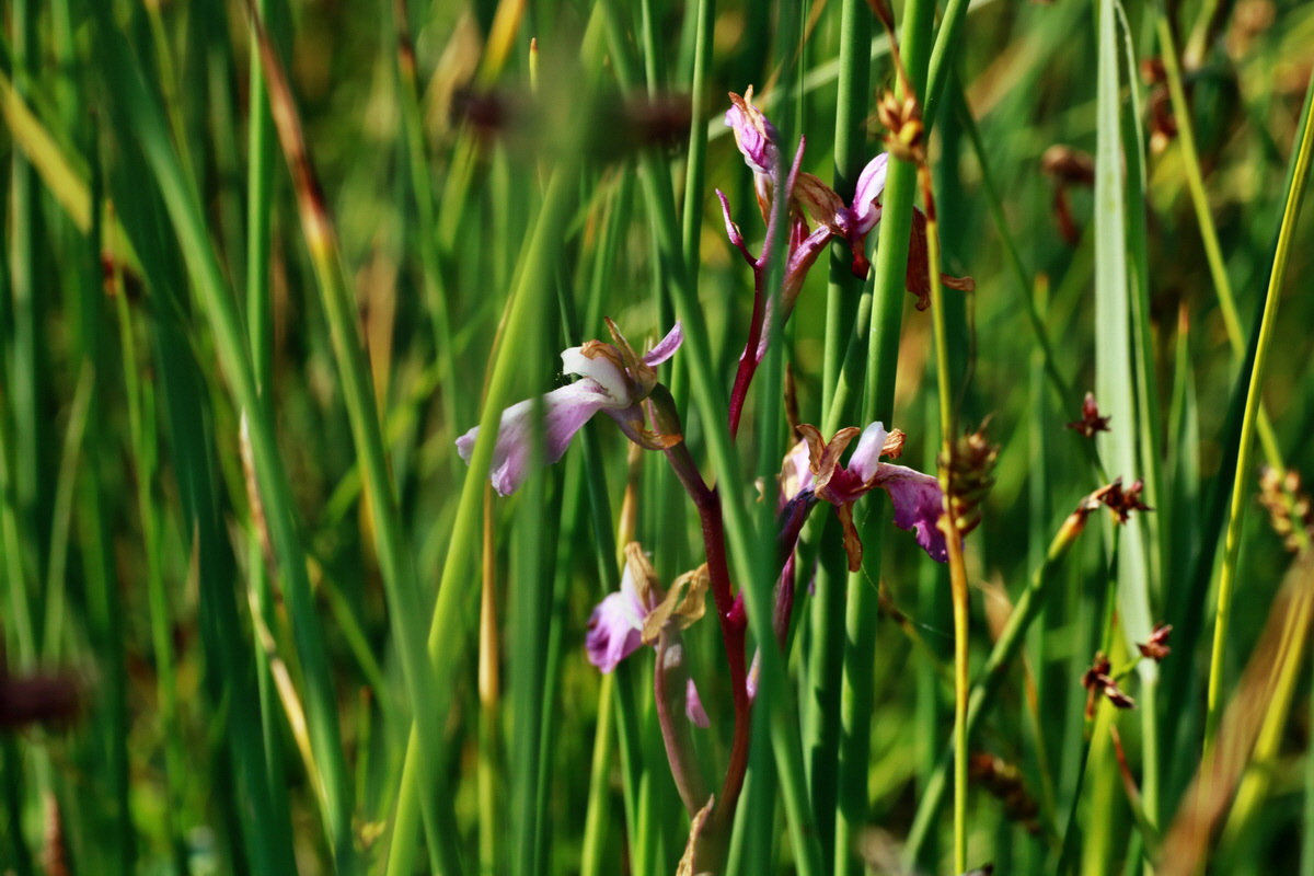 IMG-2015-07-03-00006238p_Bildgr��e �ndern