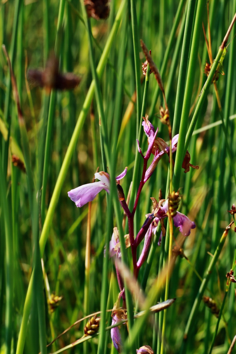 IMG-2015-07-03-00006243p_Bildgr��e �ndern