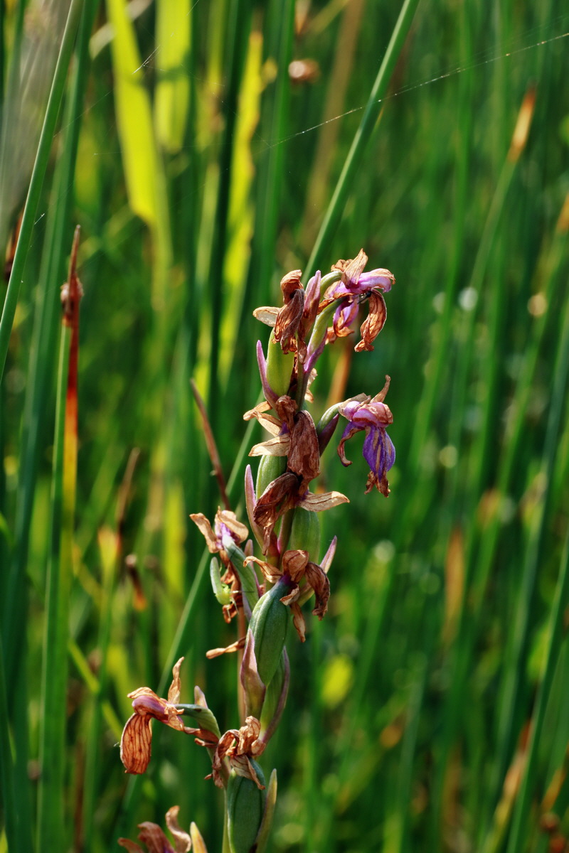 IMG-2015-07-03-00006249p_Bildgr��e �ndern