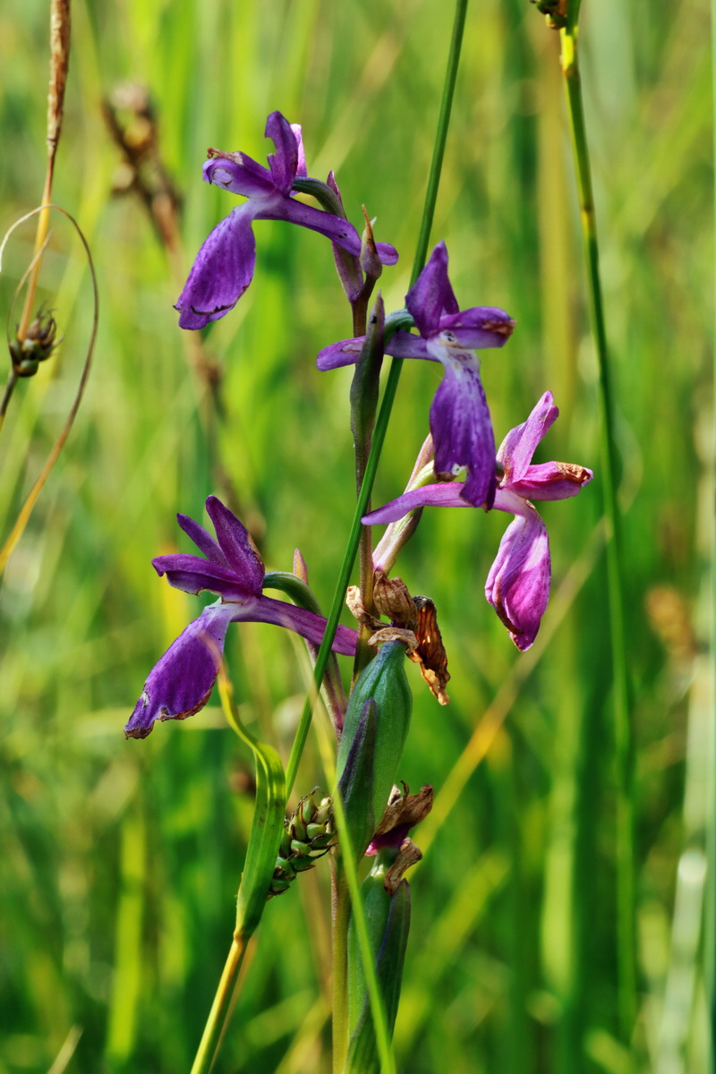 IMG-2015-07-03-00006251p_Bildgr��e �ndern