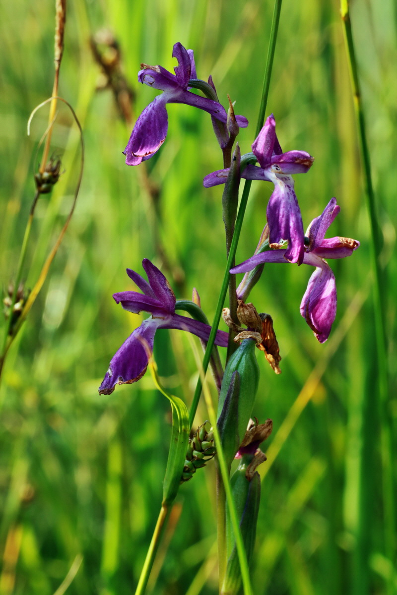 IMG-2015-07-03-00006258p_Bildgr��e �ndern