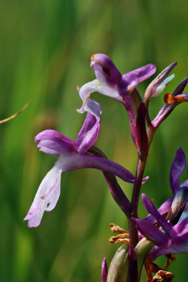 IMG-2015-07-03-00006262p_Bildgr��e �ndern