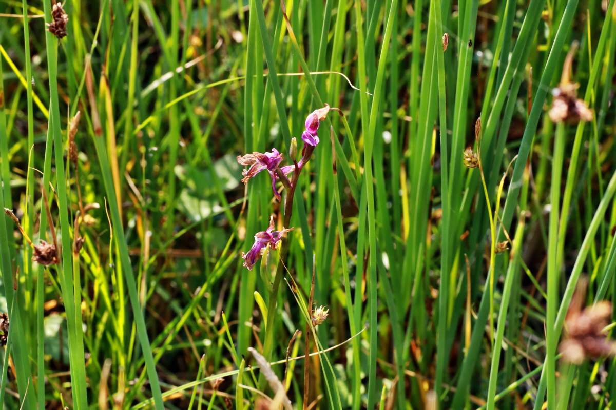 IMG-2015-07-03-00006264p_Bildgr��e �ndern