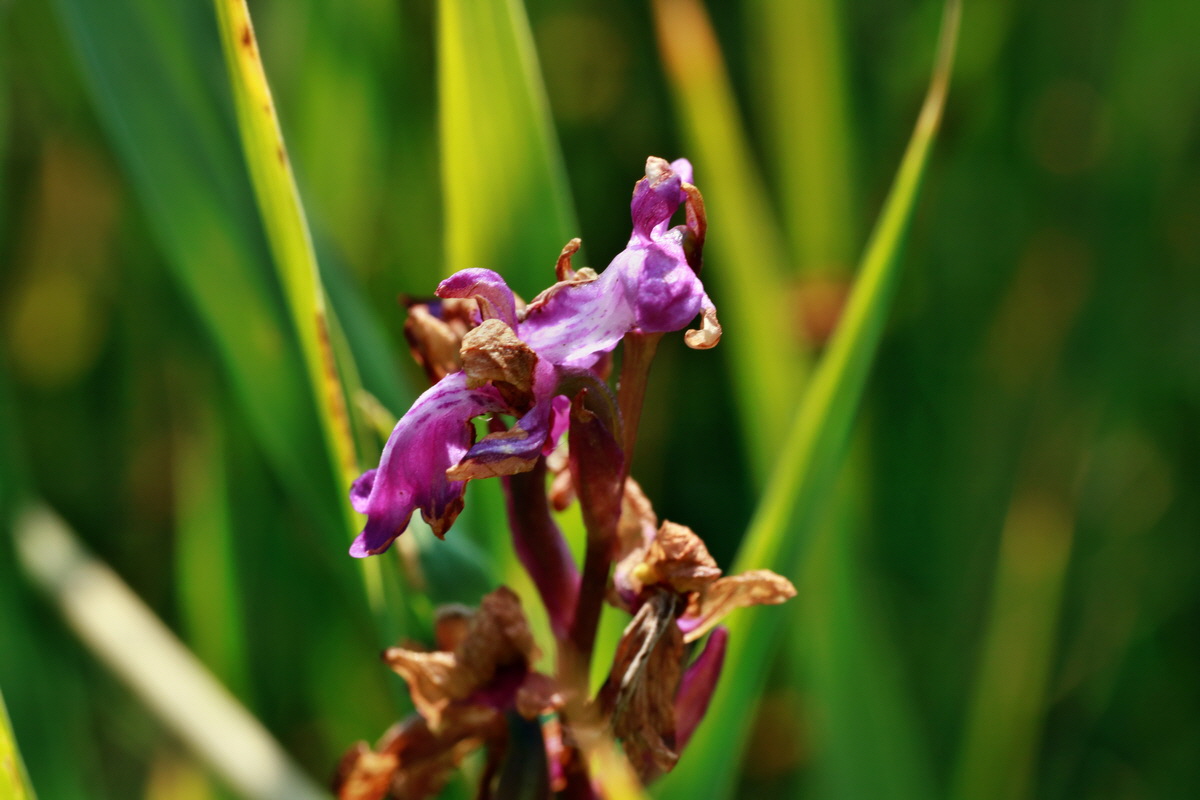 IMG-2015-07-03-00006269p_Bildgr��e �ndern