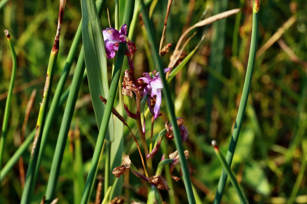 IMG-2015-07-03-00006276p_Bildgr��e �ndern