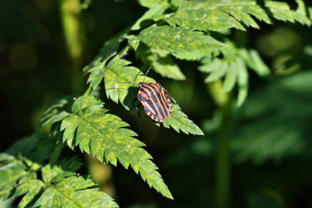 IMG-2015-07-06-00006488p_Bildgr��e �ndern