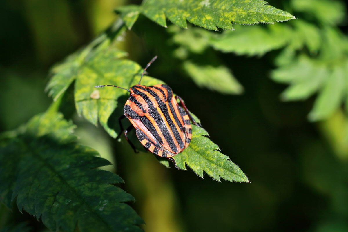 IMG-2015-07-06-00006491p_Bildgr��e �ndern