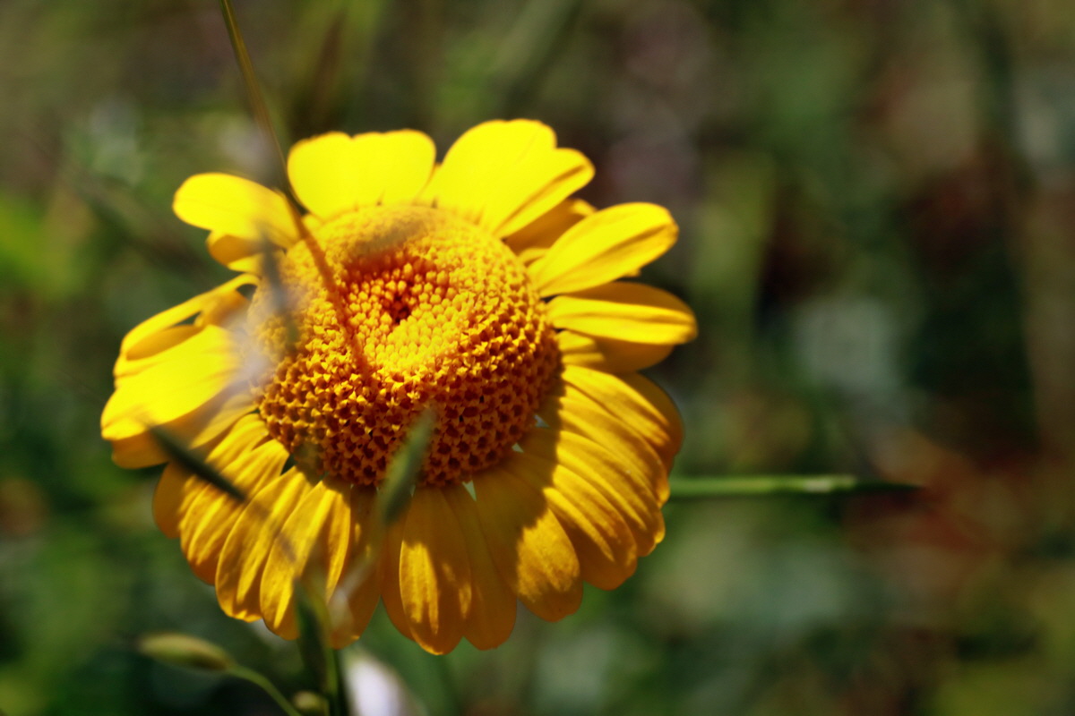 IMG-2015-07-06-00006494p_Bildgr��e �ndern