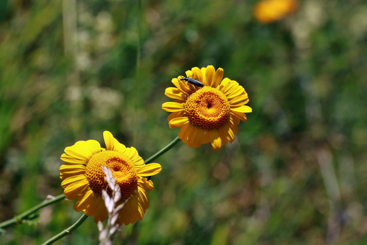 IMG-2015-07-06-00006497p_Bildgr��e �ndern