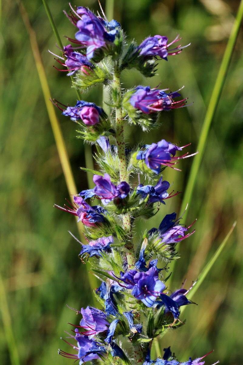 IMG-2015-07-06-00006502p_Bildgr��e �ndern