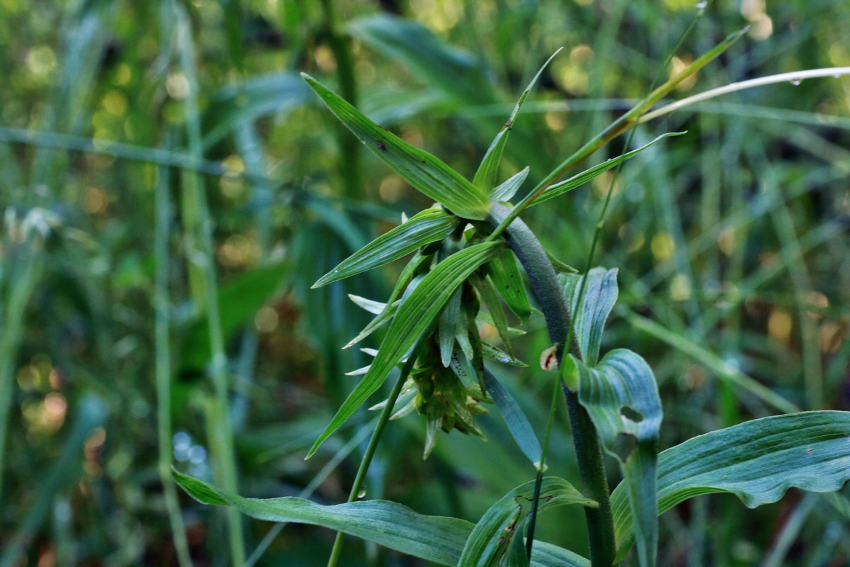 IMG-2015-07-06-00006513p_Bildgr��e �ndern