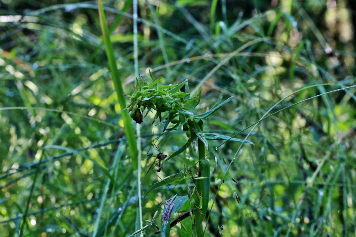 IMG-2015-07-06-00006515p_Bildgr��e �ndern