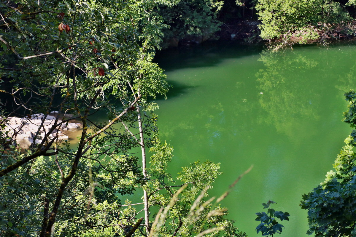 IMG-2015-07-06-00006516p_Bildgr��e �ndern