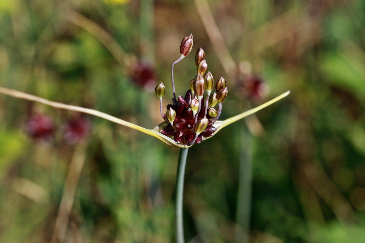 IMG-2015-07-07-00006555p_Bildgr��e �ndern