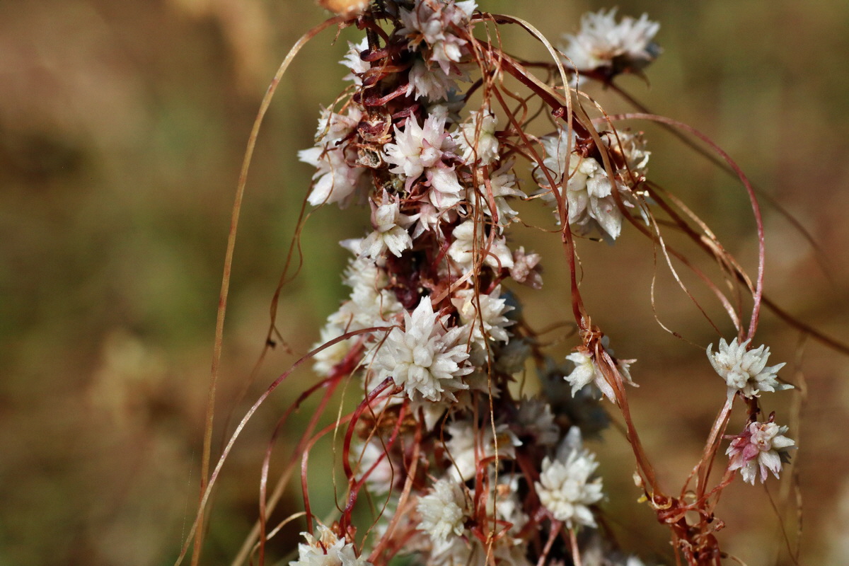 IMG-2015-07-07-00006558p_Bildgr��e �ndern