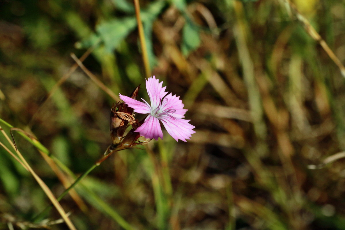 IMG-2015-07-07-00006562p_Bildgr��e �ndern