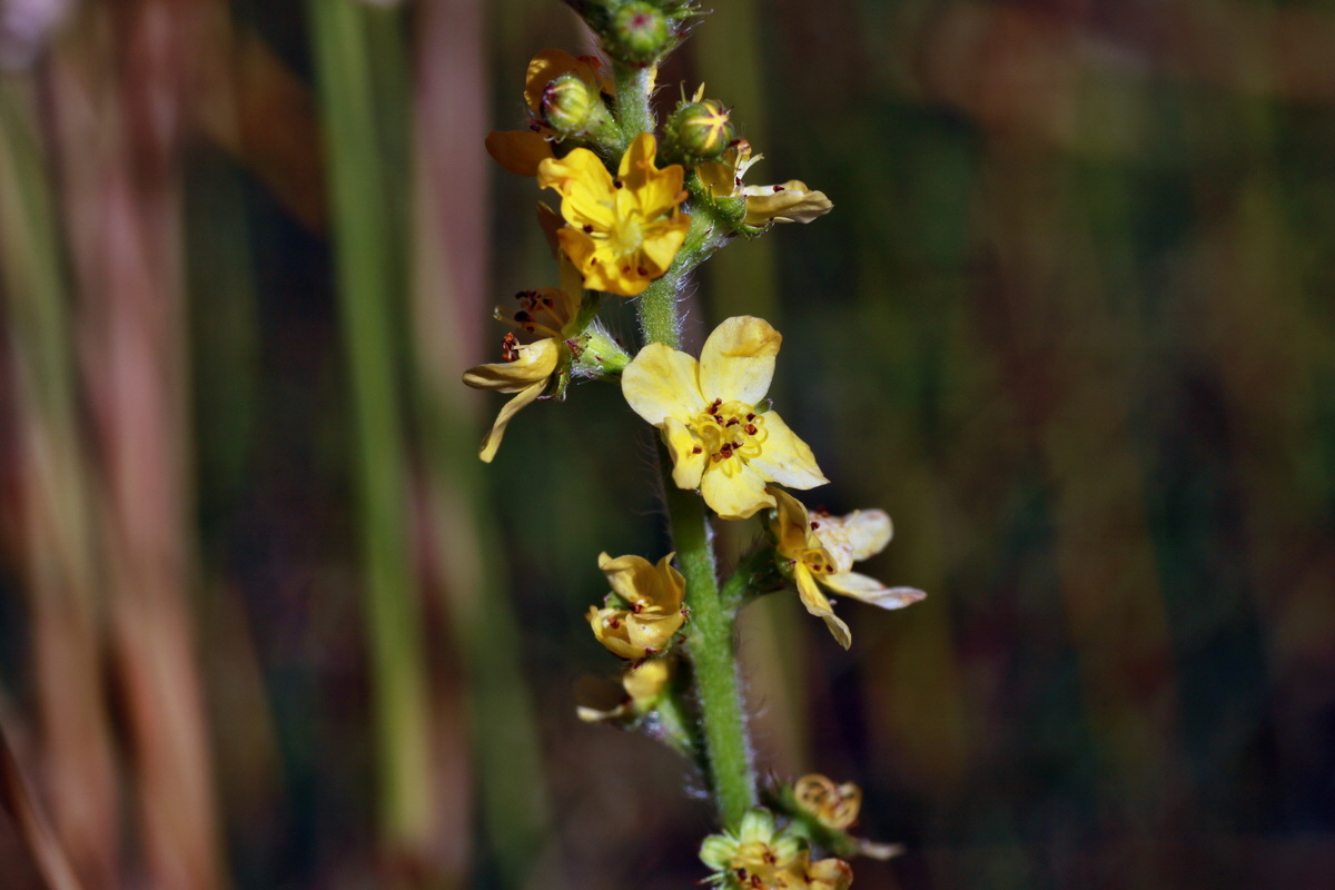 IMG-2015-07-07-00006588p_Bildgr��e �ndern