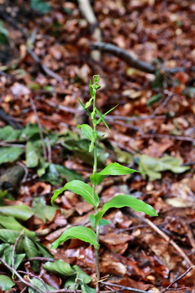 IMG-2015-07-13-00006630p_Bildgr��e �ndern