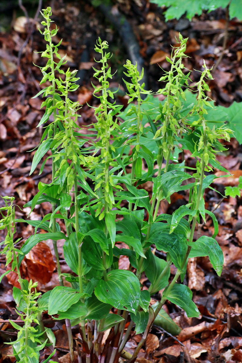 IMG-2015-07-13-00006651p_Bildgr��e �ndern