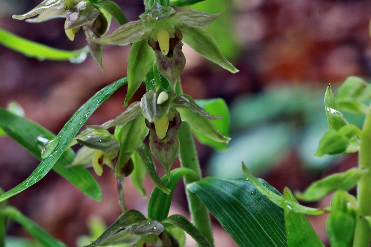 IMG-2015-07-14-00006677p_Bildgr��e �ndern