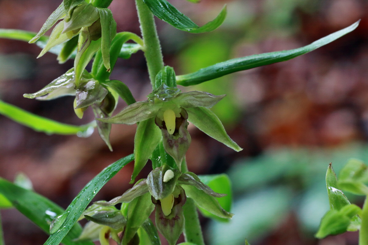 IMG-2015-07-14-00006680p_Bildgr��e �ndern