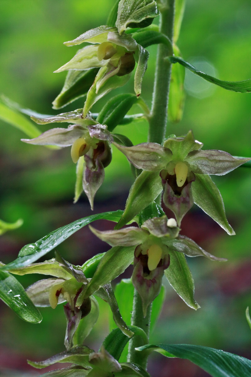 IMG-2015-07-14-00006684p_Bildgr��e �ndern