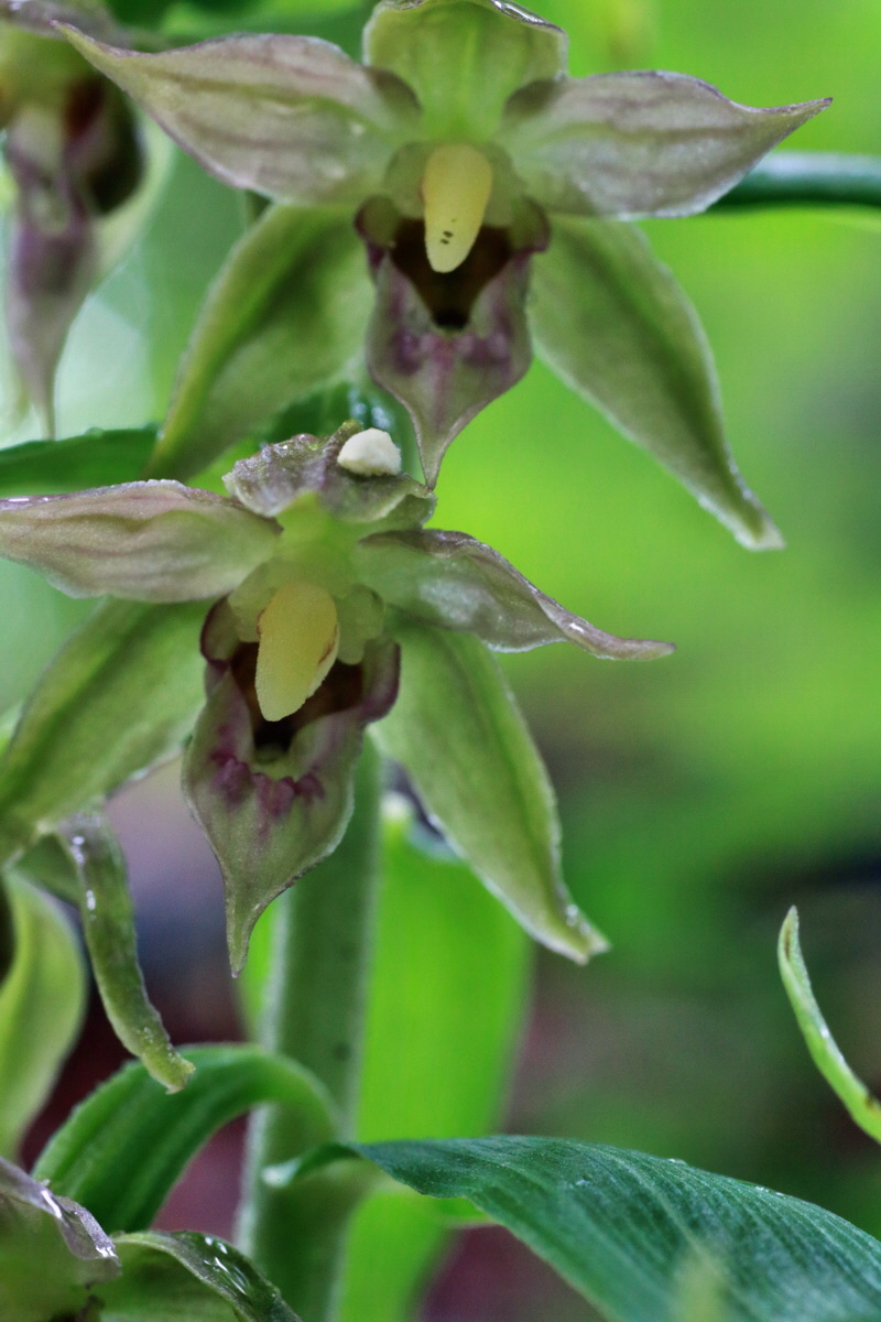 IMG-2015-07-14-00006707p_Bildgr��e �ndern