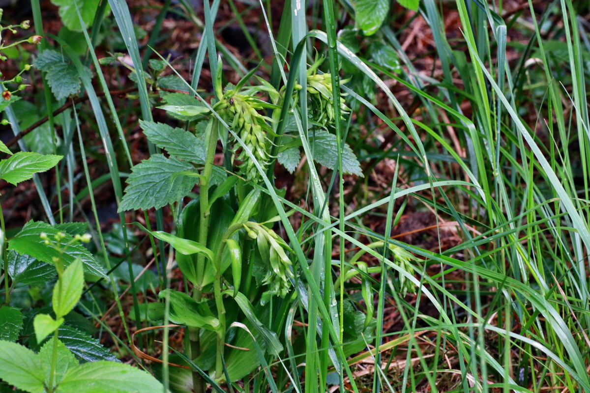 IMG-2015-07-14-00006724p_Bildgr��e �ndern