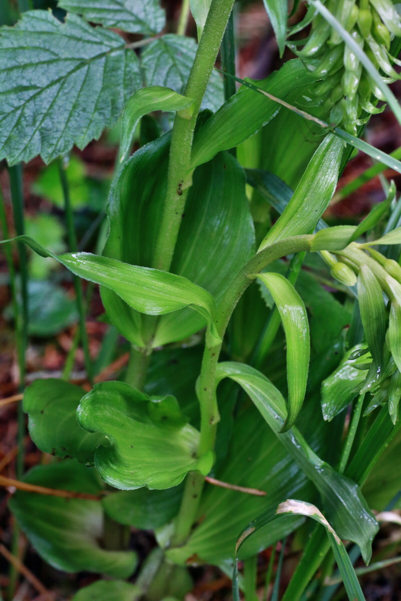 IMG-2015-07-14-00006729p_Bildgr��e �ndern