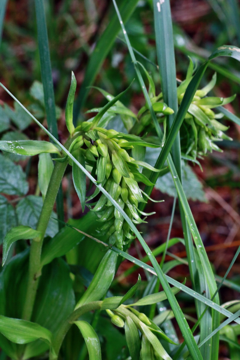 IMG-2015-07-14-00006732p_Bildgr��e �ndern