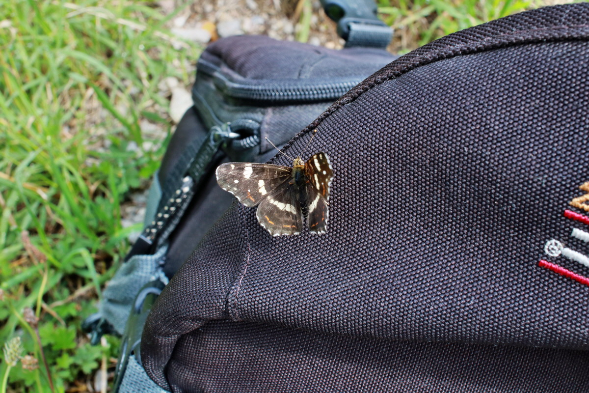 2015_07_15_008298p_Bildgr��e �ndern