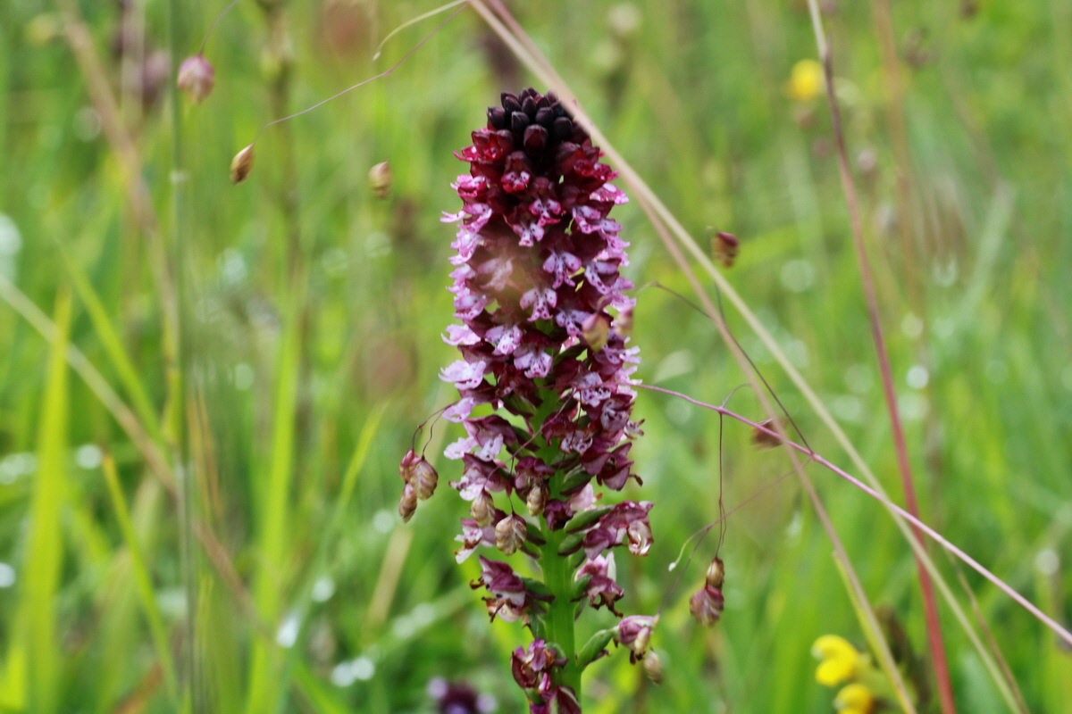 2015_07_15_008398p_Bildgr��e �ndern