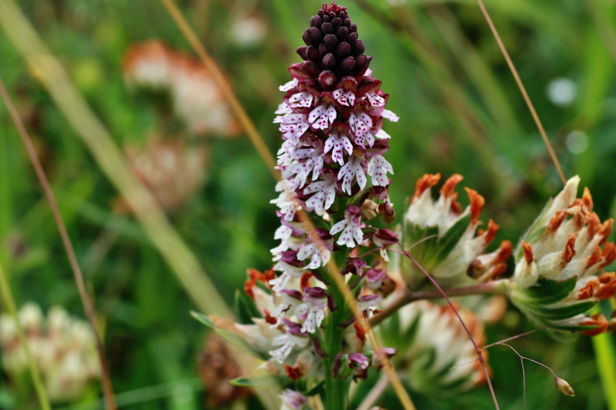 2015_07_15_008400p_Bildgr��e �ndern