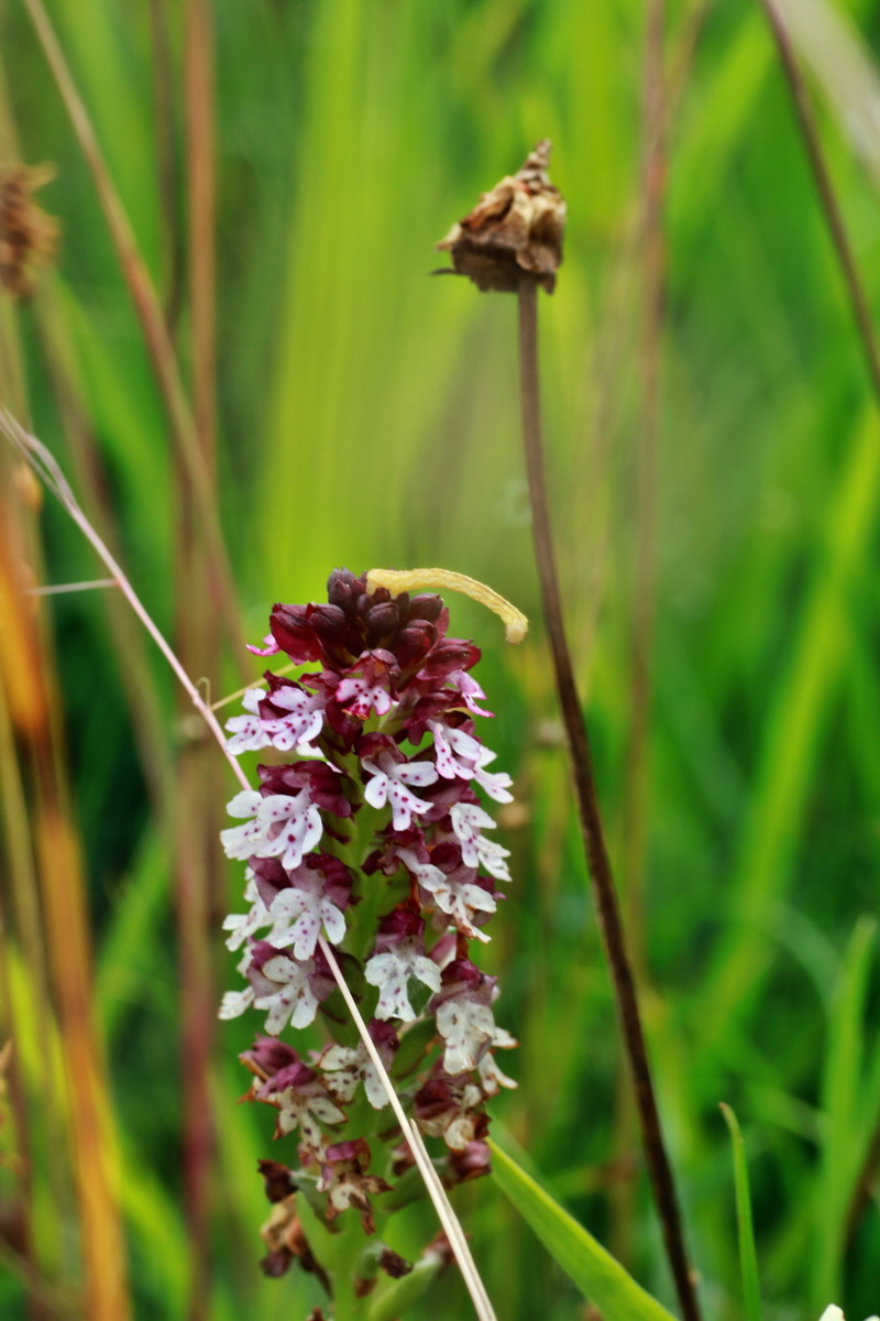 2015_07_15_008404p_Bildgr��e �ndern