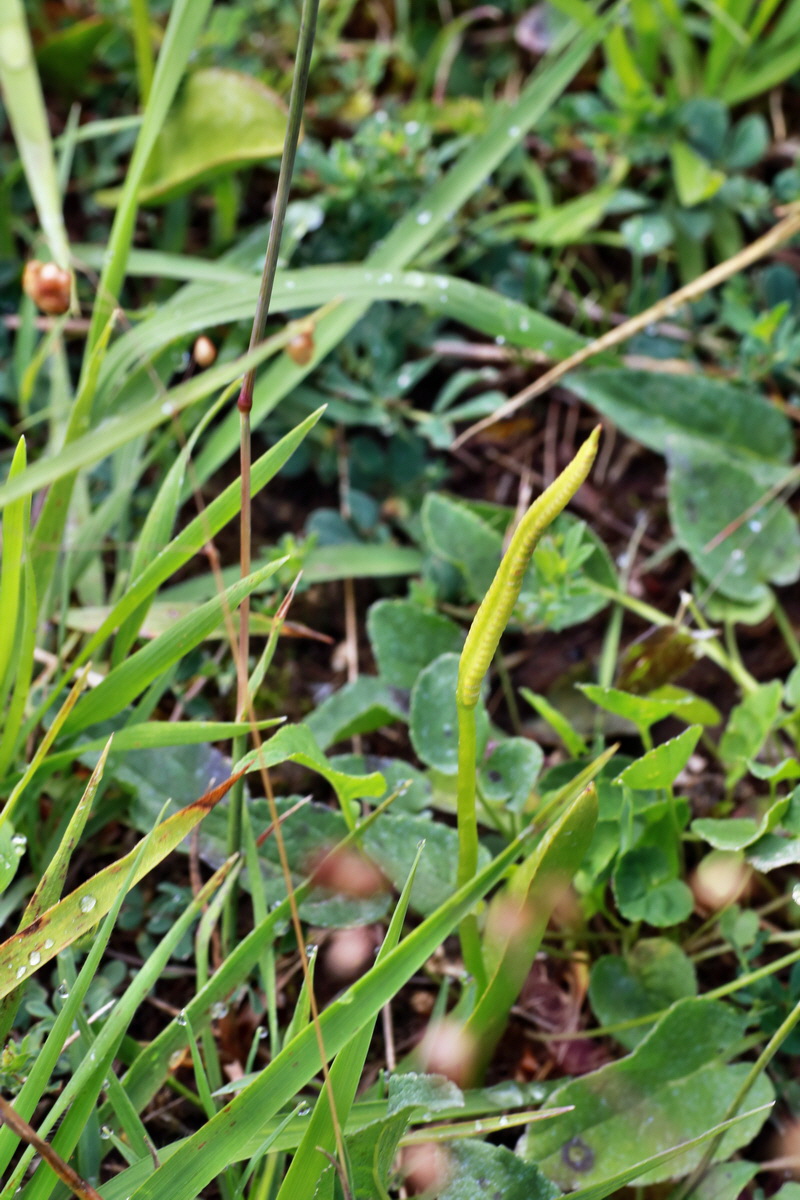 2015_07_15_008407p_Bildgr��e �ndern