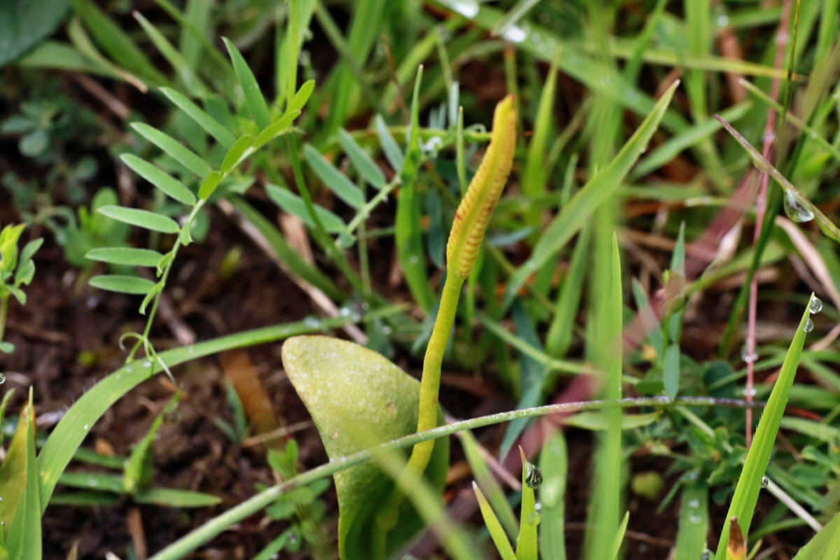 2015_07_15_008409p_Bildgr��e �ndern