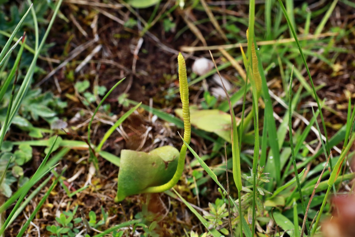 2015_07_15_008411p_Bildgr��e �ndern