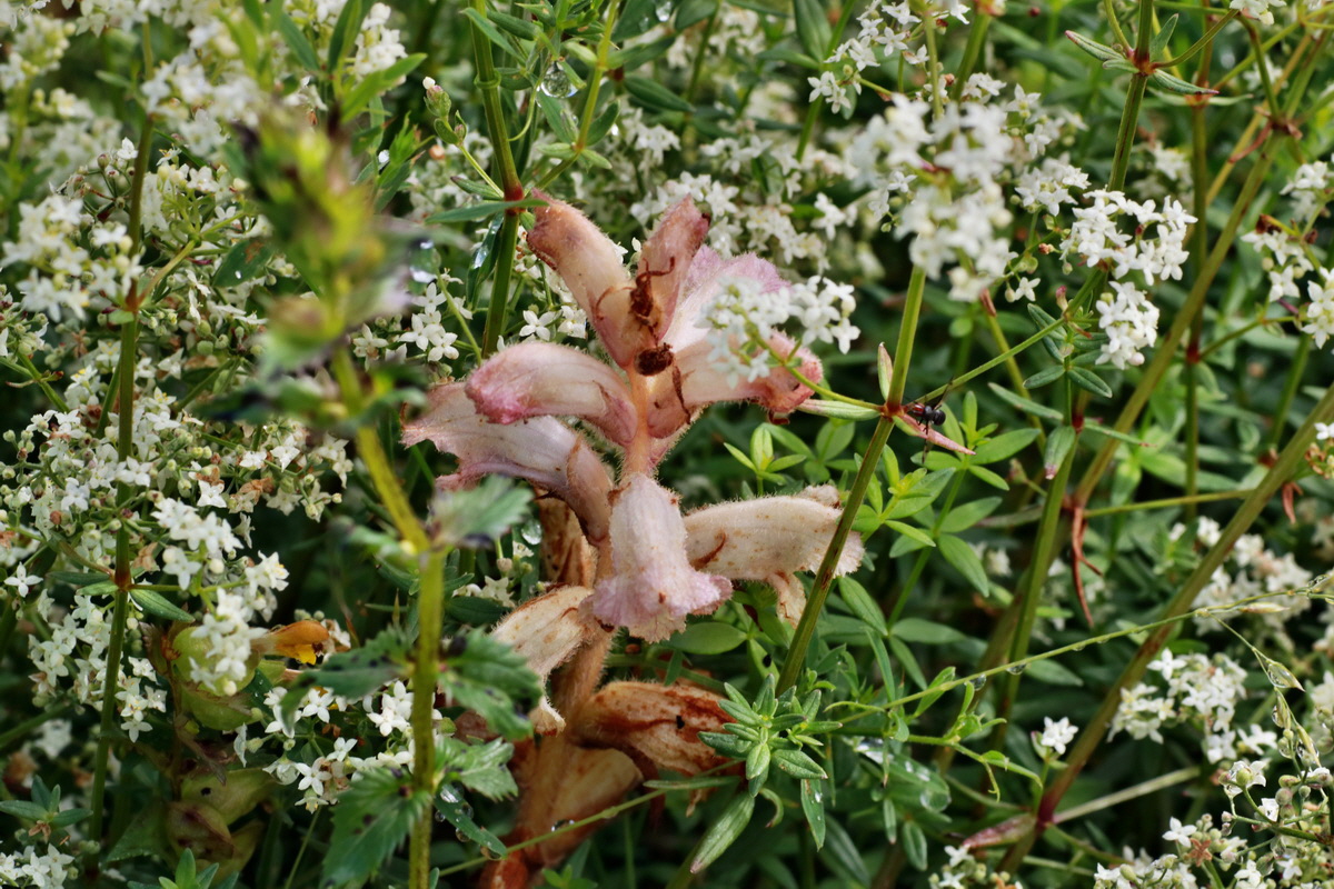 2015_07_15_008420p_Bildgr��e �ndern