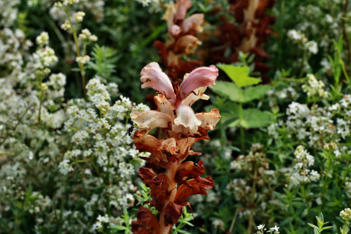 2015_07_15_008423p_Bildgr��e �ndern