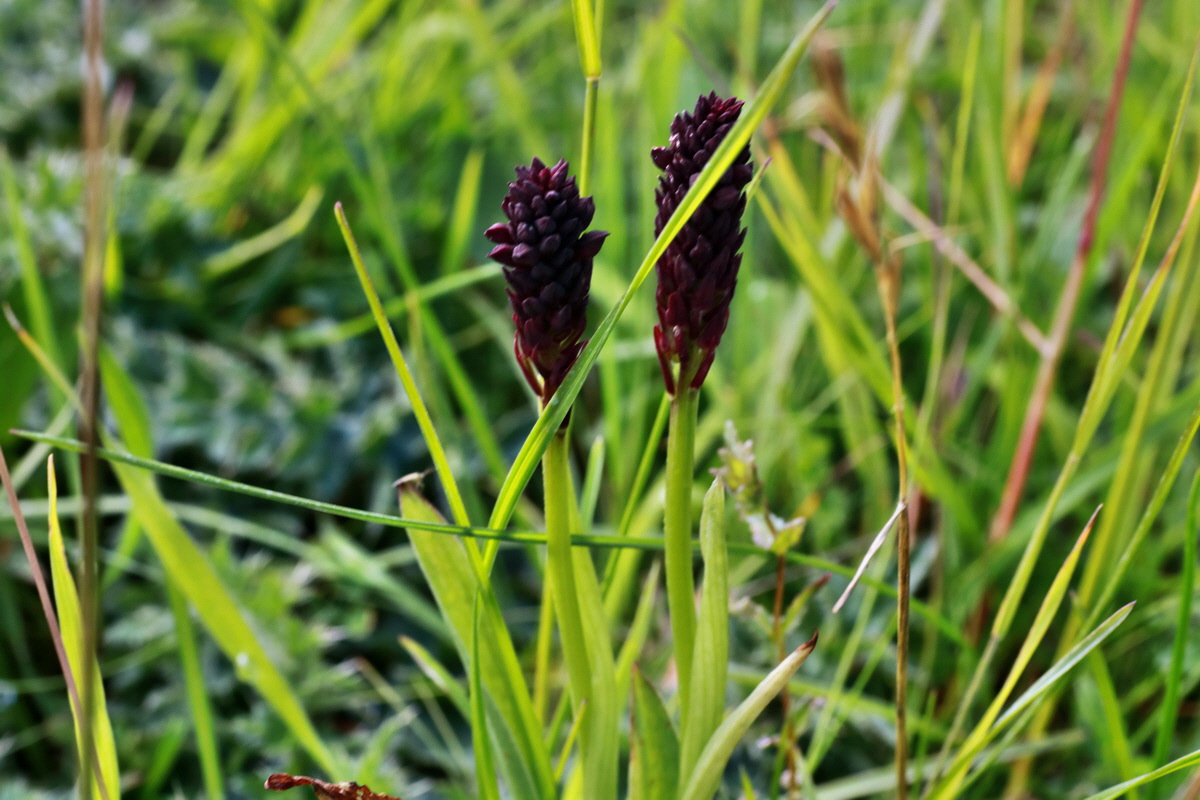 2015_07_15_008428p_Bildgr��e �ndern