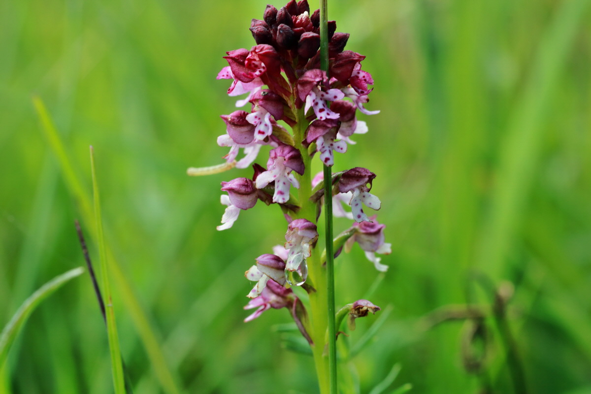 2015_07_15_008431p_Bildgr��e �ndern