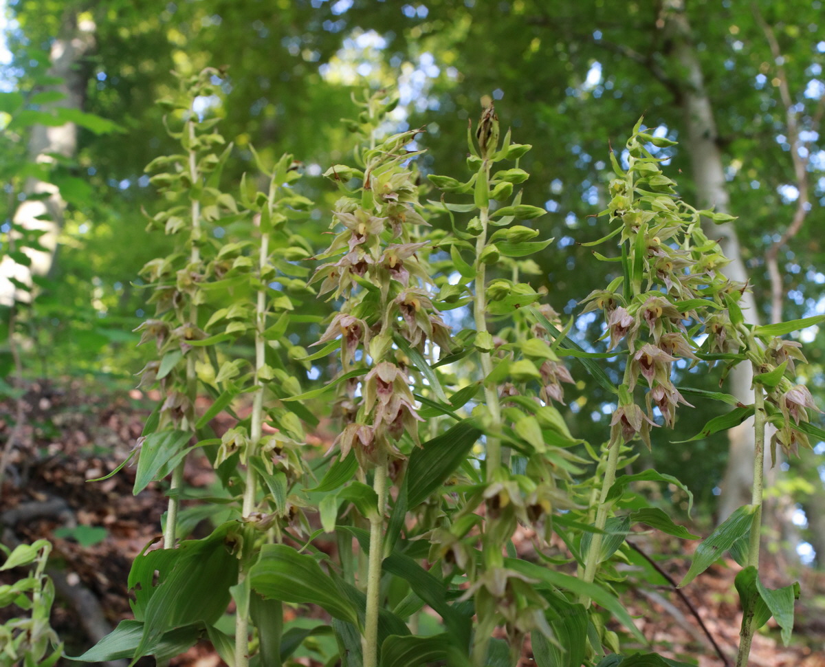 [Group 1]-2015_07_20_008742_2015_07_20_008750-3 images_Bildgr��e �ndern