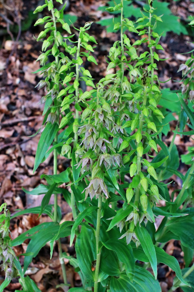 2015_07_20_008737p_Bildgr��e �ndern