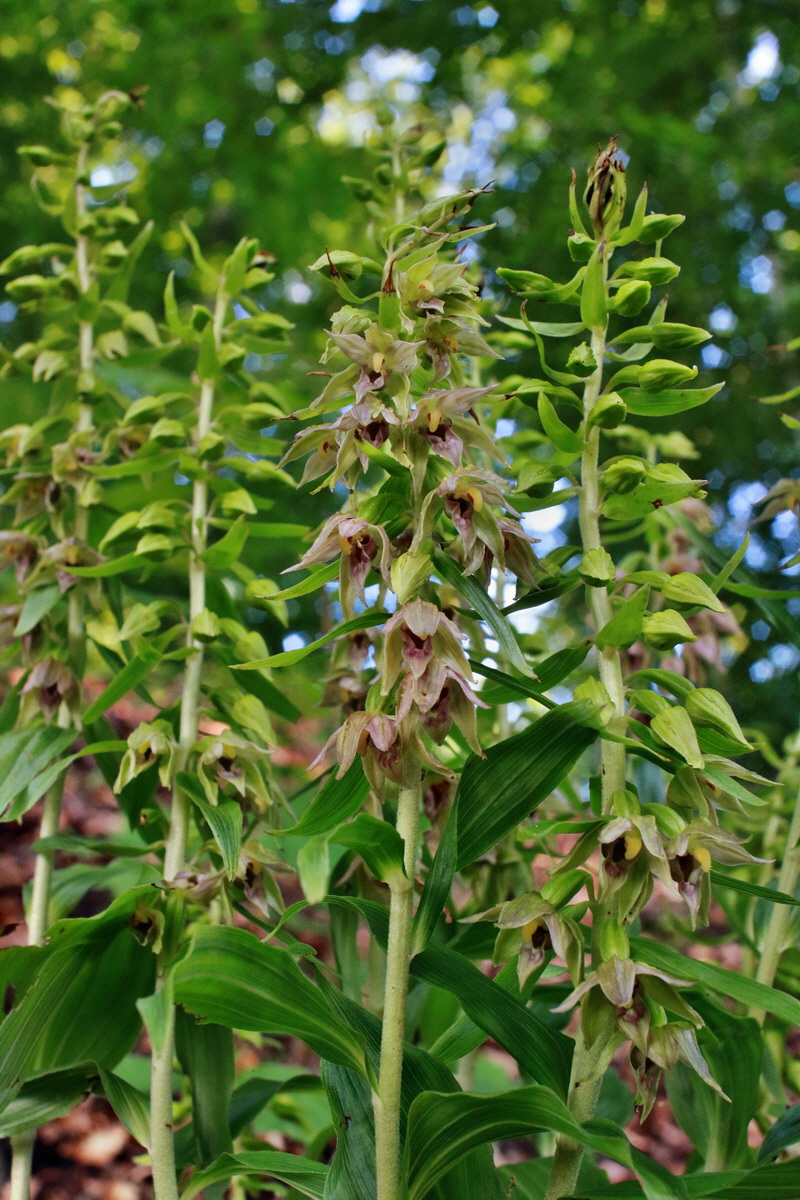 2015_07_20_008741p_Bildgr��e �ndern