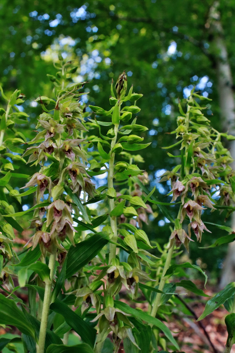 2015_07_20_008747p_Bildgr��e �ndern