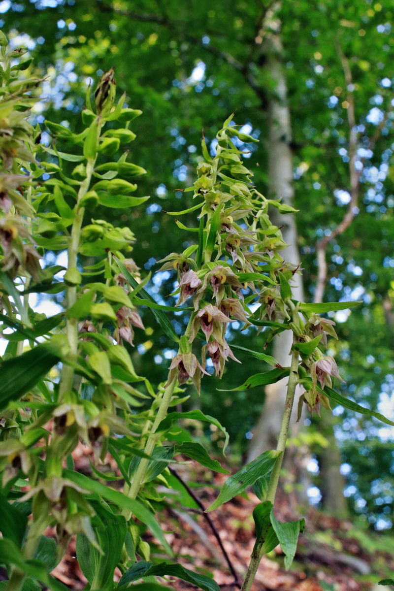 2015_07_20_008750p_Bildgr��e �ndern